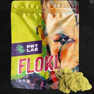 FLOKI