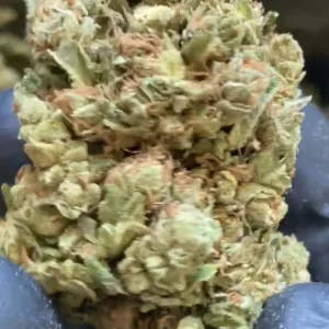 Fleur CBD AMNESIA