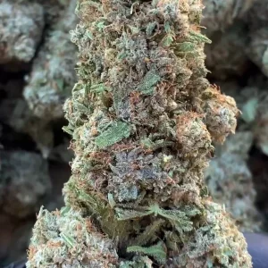 Fleur CBD Critical