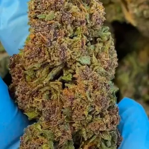Fleur CBD FORBIDDEN FRUIT