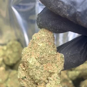 Fleur CBD GELATO