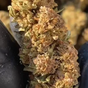 Fleur CBD LEMON HAZE